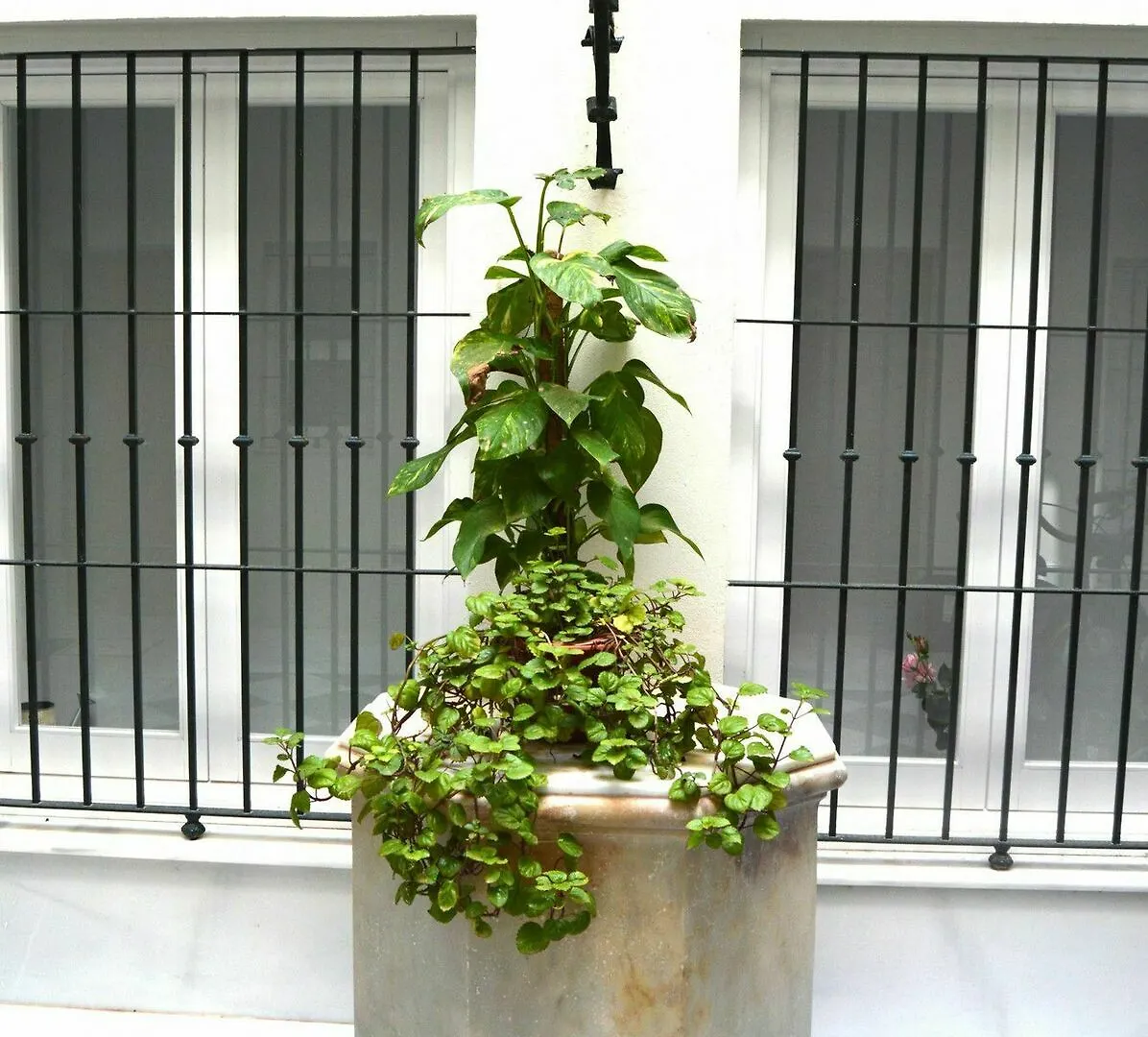 La Casa Del Reloj Cadiz Apartment 0*,